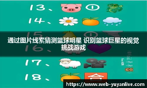 雨燕高清直播