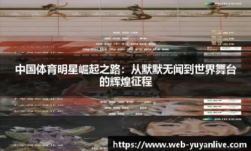 雨燕体育