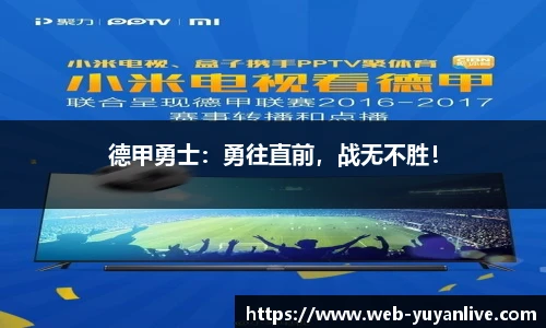 雨燕体育直播