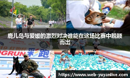 鹿儿岛与爱媛的激烈对决谁能在这场比赛中脱颖而出