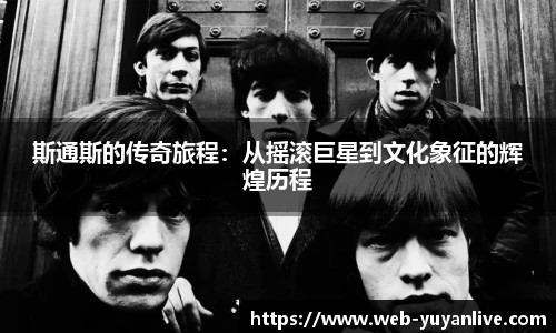 雨燕体育