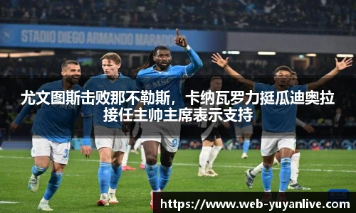 雨燕高清直播